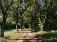 Herbstwanderung 9.10.21_53