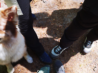 Ausflug Midnights Juni 24_15