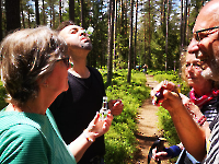 Ausflug Midnights Juni 24