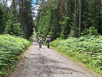 Ausflug Midnights Juni 24